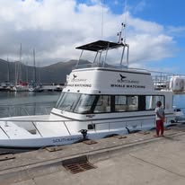 The harbour photographed from a Captain Jacks boat in Hout Bay