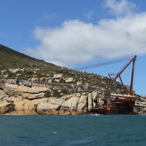 Kelp gull photographed from a Captain Jacks boat in Hout Bay