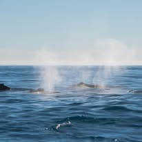 Bow spray photographed from a Captain Jacks boat in Hout Bay