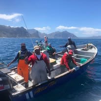 Sunfish photographed from a Captain Jacks boat in Hout Bay