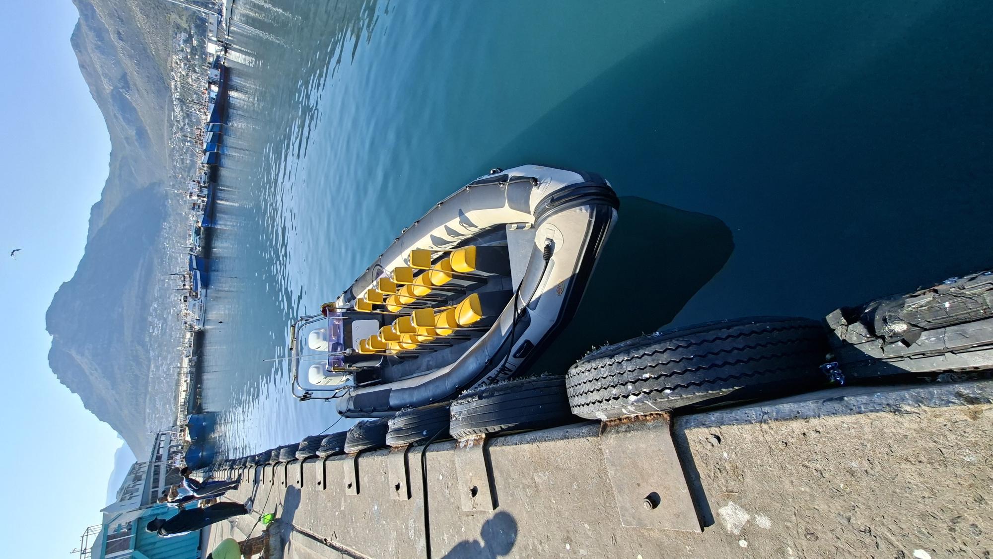 Cawsaw, our 8.5m semi-rigid with twin Suzuki 200 outboards, moored in Hout Bay Harbour