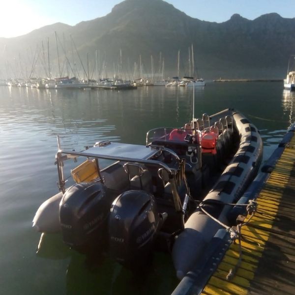 Hout Bay, Hout Bay